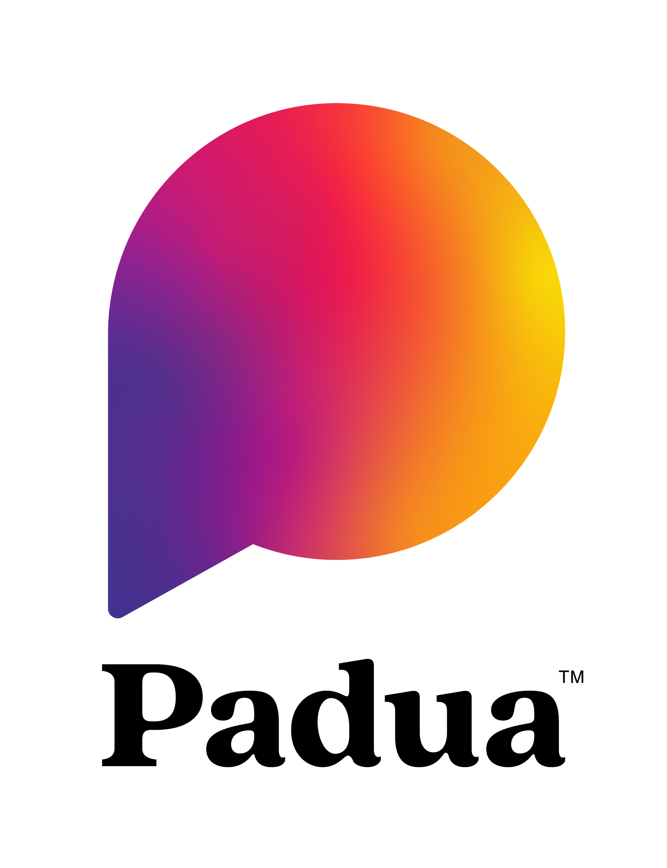 Logo of Padua Solutions