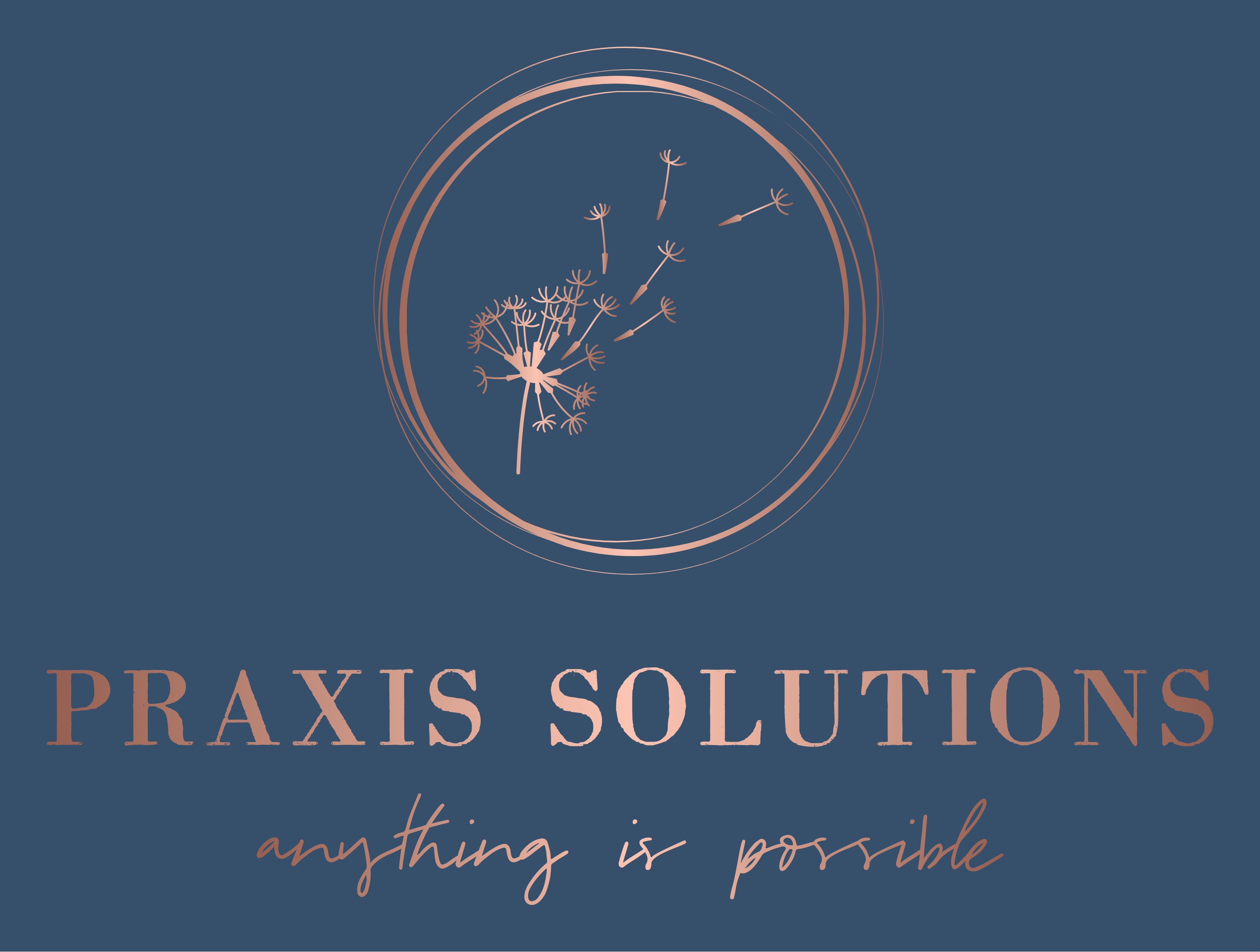 Logo of Praxis Solutions